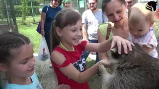 Гостиничный комплекс "Золотые пески" . Обзор.