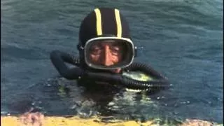24 1973 Гиппопотамы Подводная одиссея команды Кусто