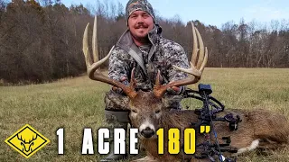 1 ACRE 180" | Hang & Hunt for a BOONER Whitetail!