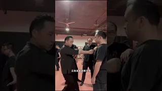 Master Tu Tengyao  |  Training Class 2022 #3  | Wing Chun attacking Moves