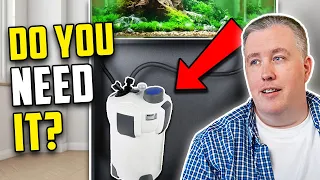 Does Your Aquarium Need A Canister Filter?