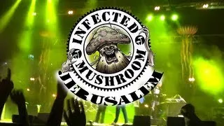 Infected Mushroom: Jerusalem 2012