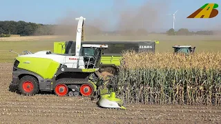 Mais häckseln 2020 - Neuvorstellung Claas Jaguar 990 Terra Trac & Orbis 900 - Axion 960 TT Maisernte