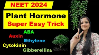 Super Easy Trick To Learn "PLANT HORMONES"  | One Shot Video |  Class 11 Biology