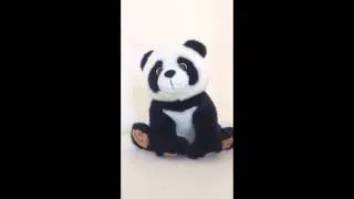 панда ВикиЗу