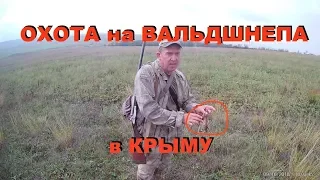 Охота на вальдшнепа в Крыму