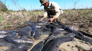 amazing fishing! a lots of catch catfish at field in little water when dry season by hand