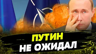 В НАТО ОЧНУЛИСЬ! Страны ЕС начали активно ГОТОВИТЬСЯ к войне! УКРАИНА могла бы уже давно ПОБЕДИТЬ?