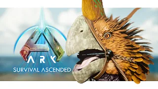 The Gigantoraptor is GAME CHANGING for ARK Ascended