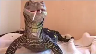 giant lizard eat rat😲