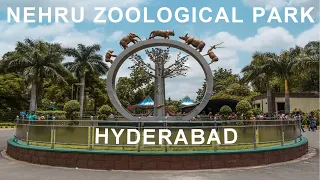 NEHRU ZOOLOGICAL PARK | HYDERABAD | TELANGANA #nehruzoologicalpark #hyderabad