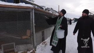 Кропление подсобного хозяйства святой водой в день Богоявления