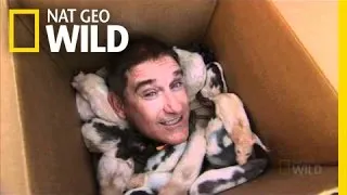 Got Rats? | Nat Geo Wild