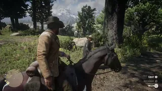 Micah comments on Arthur's horse