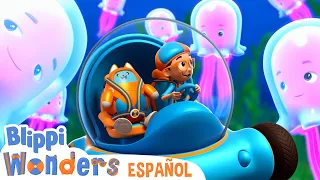 Océano | Blippi Wonders | Caricaturas para niños