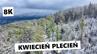 Kwiecień plecień, bo przeplata trochę zimy, trochę lata [8K]