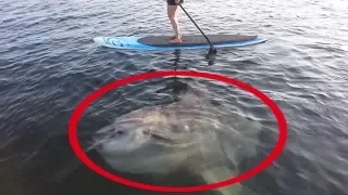 5 Shocking Fishing Moments Caught On Camera! #1