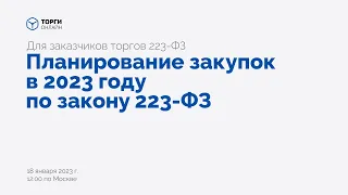 Планирование закупок в 2023 году по 223-ФЗ