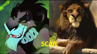 The lion king characters in real life 👉@Toplist