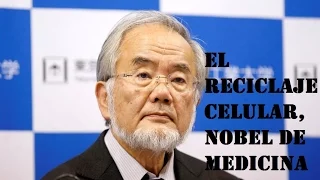 Yoshinori Ohsumi se lleva el Nobel de Medicina por sus investigaciones sobre la autofagia