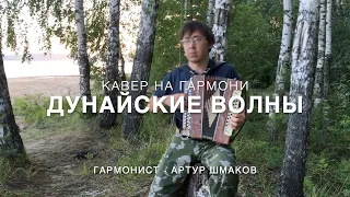 Дунайские волны - кавер на гармони