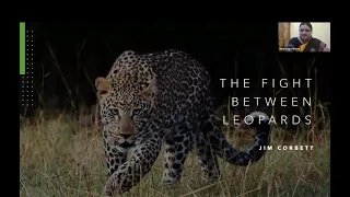 The Fight Between Leopards by Jim Corbett