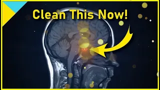 10100 Hertz: Heal Pituitary Gland ❯❯❯ WAIT TILL 6 Mins! • Quantum Miracle Formula Frequency