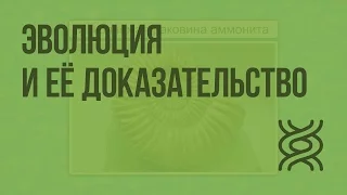 Эволюция и её доказательства. Видеоурок по биологии 7 класс