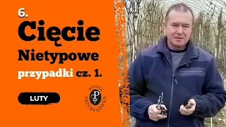 Cięcie - nietypowe przypadki cz  1