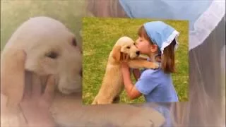 Малыши и собаки (Целующиеся собаки) // Kids and dogs