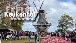 Keukenhof Garden Part 2 Netherlands 🇳🇱 || AngbisayasaAlemanya #travel