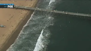 Shark sighting in Manhattan Beach