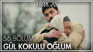 Dilşah ve Miran'ın beklenen kavuşması! - Hercai 56. Bölüm