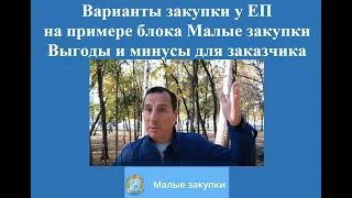 Варианты закупки у ЕП на примере блока Малые закупки. Выгоды и минусы для заказчика