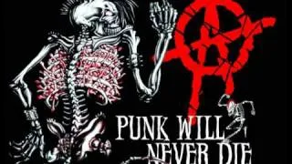 PUsiNK - Punk Willl Never Die