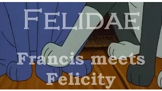 Felidae - Francis meets Felicity