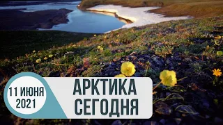 Арктика сегодня: электроэнергетика, добыча полезных ископаемых, рыбоводство