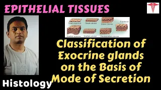 Histo. – Epithelial T – Types of Glands on Basis of Mode of Secretion | Dr. Prashant Sharma