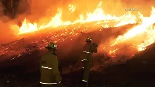 Crews Quickly Extinguish Freeway Brush Fire In Pacoima