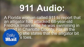 911 call: Florida man has toes bitten off by Alligator in pond - Daily Mail