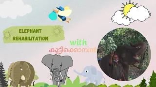 Kottoor kappukadu Elephant 🐘 rehabilitation  center |neyyar dam| places to visit in Trivandrum❤