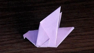 Paper Pigeon origami for beginners