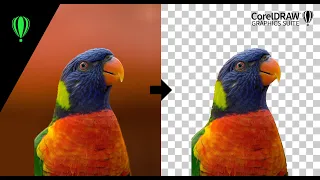 CorelDRAW tutorial - how to remove background from image using Magic Wand Tool #shorts