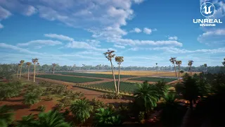 Kubota Rice Field - Unreal Engine 5.1