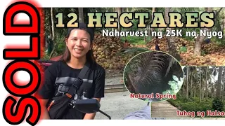 #Vlog26| 12 HECTARES | Nakaka 25K Kabuo na Nyog | WITH NATURAL SPRING | Tuhog ng Kalsada | 9.5M