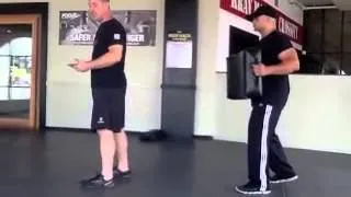 Krav Maga Back Kick - Alliance Training Center in Los Angeles