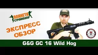 Обзор GC16 Wild Hog от G&G