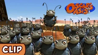 Oscar's Oasis -  Battle of the Beetles | HQ | Funny Cartoons