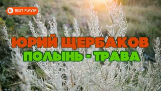 Юрий Щербаков - Полынь трава (Песня 2020) | Новинки русская музыка
