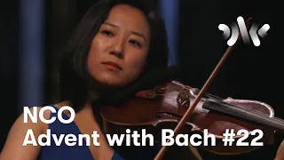 J. S. Bach: Suite for Cello Solo No. 3 in C Major, I. Prelude // Aine Suzuki, viola